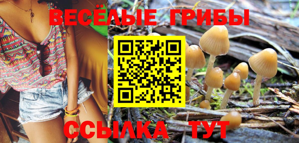 Псилоцибиновые грибы прущие грибы Среднеуральск